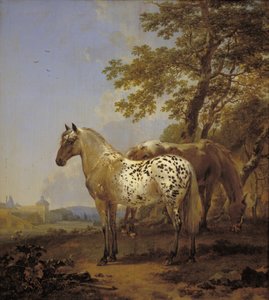To hester i et landskap av Nicolaes Berchem