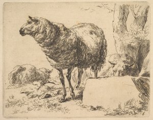 fra The Set of Sheep. av Nicolaes Berchem