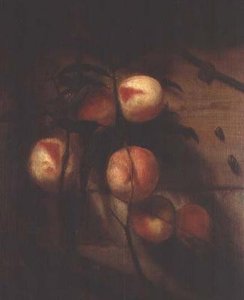 Gren av fersken mot en vegg, med snegler av Nicolaes Maes