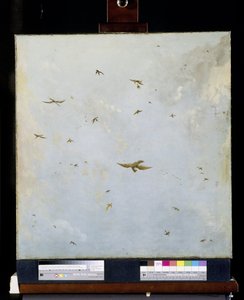 Dukkehus-tak-maleri av en overskyet himmel med fugler av Nicolaes Piemont (attributed to)