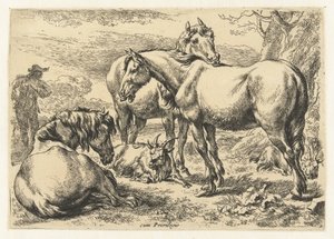 Tre hester Dyr (serietittel)