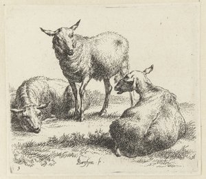 Tørk sauene Schapen (serietittel) Dyr trukket til livet og trykt i vann av sterk luft av Studio and Art of Nicolai Berchem (serietittel) av Nicolaes Pietersz Berchem