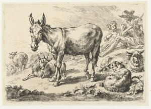 Landskap med esel, sau, geit og gjetere Dyr (serietittel) av Nicolaes Pietersz Berchem