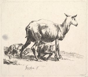Sau med Lammepleie. av Nicolaes Pietersz. Berchem