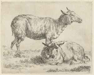 Staand en liggend schaap Schapen (serietittel) Dyr trukket til livet og trykt med sterkt vann i Nicolai Berchems studio og kunst (serietittel) av Nicolaes Pietersz Berchem