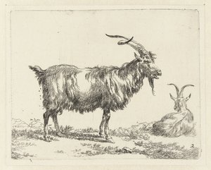 To geiter Geiten (serietittel) Dyr trukket til livet og trykt med vann for sterk luft av Studio and Art of Nicolai Berchem (serietittel)