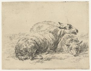 Twee ligende schapen Schapen (serietittel) Dyr trukket til livet og trykt i vann av sterk luft av Studio and Art of Nicolai Berchem (serietittel)