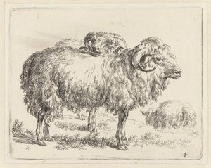 Twee rammen en een schaap Schapen (serietittel) Dyr trukket til livet og trykt i vann av sterk luft av Studio and Art of Nicolai Berchem (serietittel)