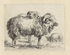Twee rammen en een schaap Schapen (serietittel) Dyr trukket til livet og trykt i vann av sterk luft av Studio and Art of Nicolai Berchem (serietittel)
