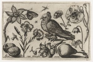 Blomster, en pære og en due Fugler, blomster, insekter etc. (serietittel)