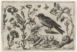 Blomster, en snegl og en fugl Fugler, blomster, insekter etc. (serietittel)