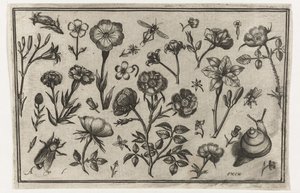 Blomster, en flue og en snegl Fugler, blomster, insekter etc. (serietittel)