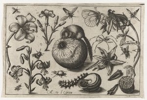 Blomster og en mus på et eple Fugler, blomster, insekter etc. (serietittel)