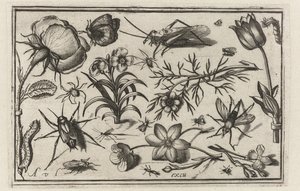 Blomster og insekter Fugler, blomster, insekter etc. (serietittel)