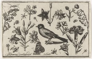 Blomster, sommerfugl og en fugl Fugler, blomster, insekter etc. (serietittel)
