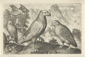 Ørn og andre rovfugler Fugler og insekter (serietittel) av Nicolaes de Bruyn