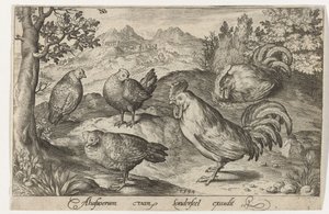 Tre høner og to haner Fugler og insekter (serietittel) av Nicolaes de Bruyn