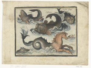 Fantastiske vannlevende dyr, inkludert sjøhest Libelivs diverse Genera piscium complectens (serietittel) Ferskvannsfisk, marin fisk, frosker, krepsdyr og sjødyr (serietittel) av Nicolaes de Bruyn