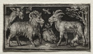 Geiter og hare av Nicolaes de Bruyn