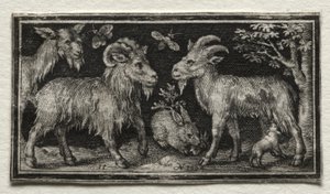 Geiter og hare, 1594. av Nicolaes de Bruyn