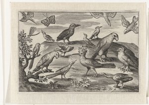Humle og andre fugler Fugler og insekter (serietittel) av Nicolaes de Bruyn