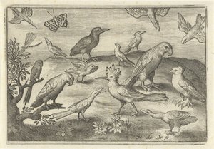 Humle og andre fugler Fugler og insekter (serietittel) av Nicolaes de Bruyn