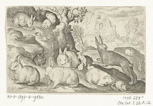 Kaniner, ekorn, marsvin og mus Animalivm qvadrvpedvm (serietittel) Dyr i landskap (serietittel) av Nicolaes de Bruyn