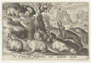 Kaniner, ekorn, marsvin og mus Animalivm qvadrvpedvm (serietittel) Dyr i landskap (serietittel) av Nicolaes de Bruyn