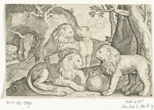 løver Animalivm qvadrvpedvm (serietittel) Dyr i landskap (serietittel) av Nicolaes de Bruyn