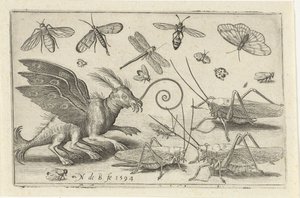 Gresshopper og fantasiskapninger med vinger og svømmehud Fugler og insekter (serietittel) av Nicolaes de Bruyn