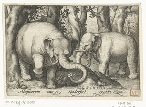 To elefanter Animalivm qvadrvpedvm (serietittel) Dyr i landskap (serietittel) av Nicolaes de Bruyn