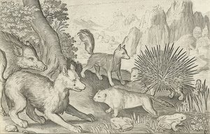 Villsvin, rev, bever, piggsvin og frosker. 1621 av Nicolaes de Bruyn