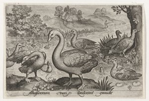 Svane og gjess og ender ved vann Fugler og insekter (serietittel) av Nicolaes de Bruyn