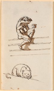 Studie av Lucius med eselhode. Nedenfor, studie for katten i Simo betror seg til Sosia av Nicolai Abildgaard