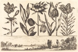 Blomstertrykk nr.11