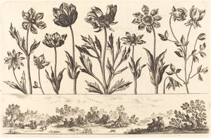 Blomstertrykk nr.1