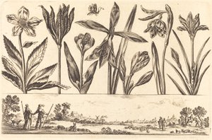 Blomstertrykk nr.4