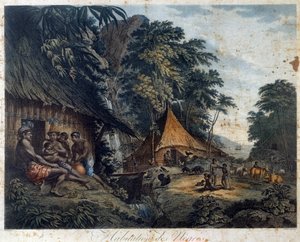 Hjemmet til den svarte av Nicolas Colibert