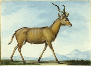  av Nicolas Hüet the Younger