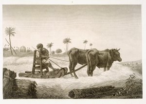 Harvesting Corn, fra bind II Arts and Trades av 