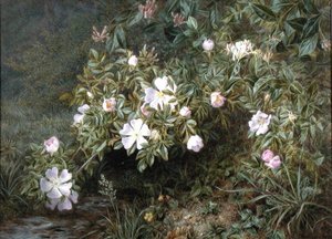 En studie av hunderoser, ca. 1900 (olje på lerret) av Niels Pieter Rasmussen