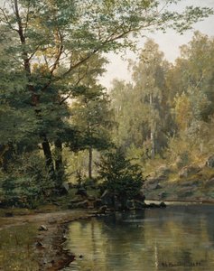  av Nils Hansteen