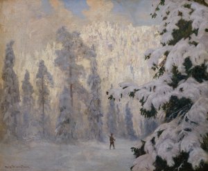 Jeger på ski i vinterlandskap