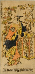 Peddler of Flowers of the Four Seasons - Et sett med tre (Shiki no hanauri sanpukutsui)