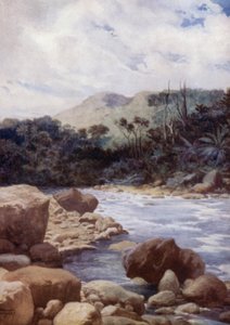The Rapids, Williams River, Island of Eromanga, New Hebrides (farge litho) av Norman Hardy
