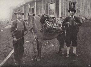 Saetersdalen Highlanders med Pack-Horse av Norwegian Photographer
