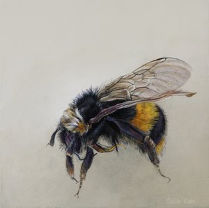  av Odile Kidd