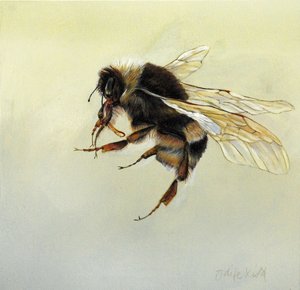  av Odile Kidd