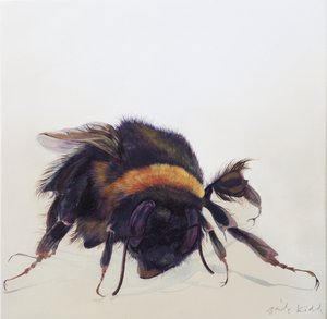  av Odile Kidd