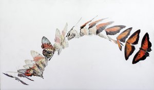  av Odile Kidd